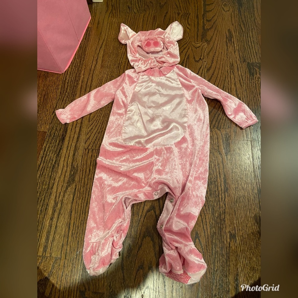 Little Baby Pig Costume